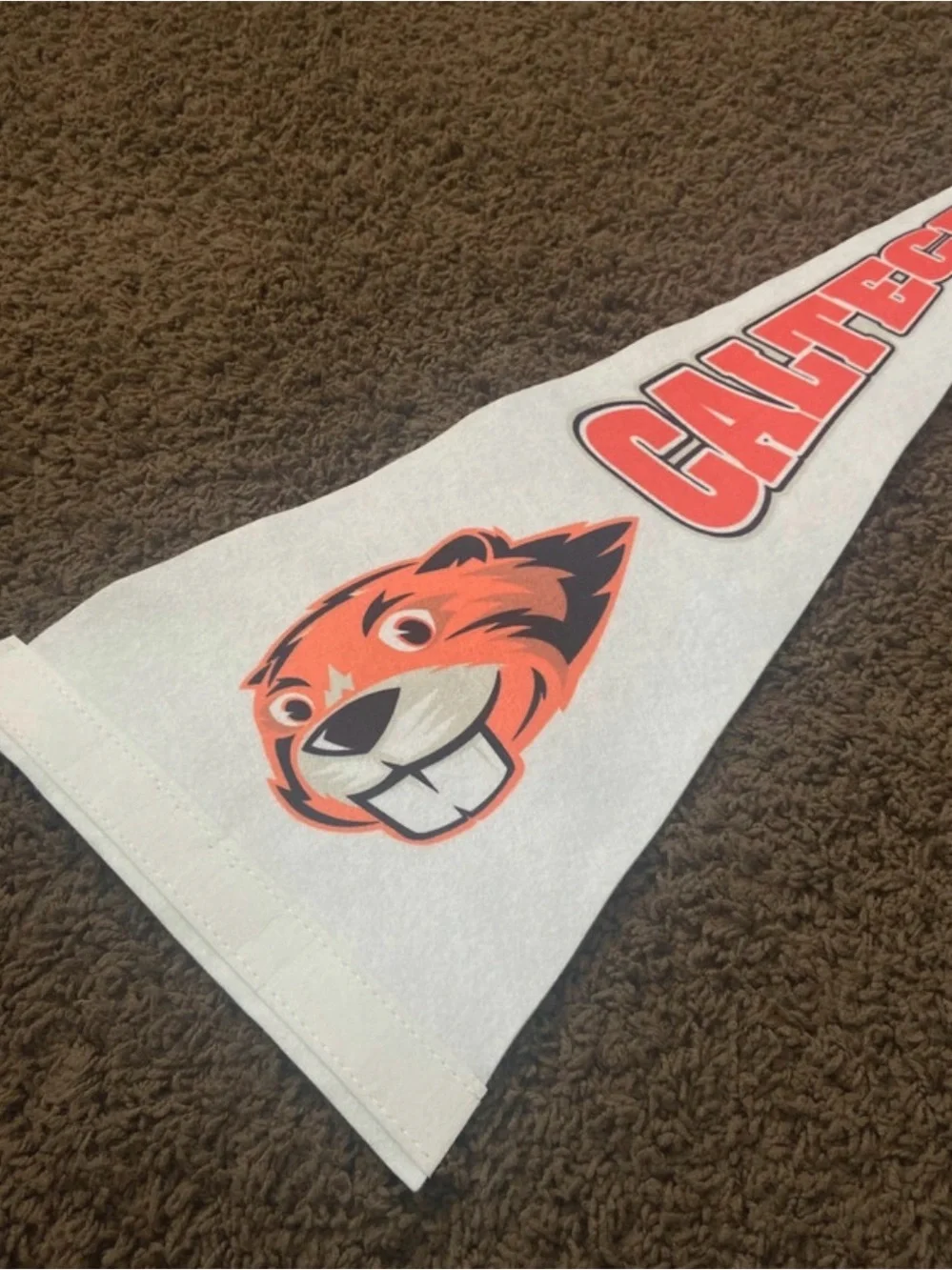 White and Orange Small Caltech Pennant Size: 9
